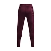 Męskie spodnie dresowe Under Armour  Terry Pant Red