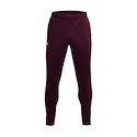 Męskie spodnie dresowe Under Armour  Terry Pant Red XL