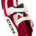 Parkany bramkarskie CCM Axis F9 Black/Red/White Intermediate