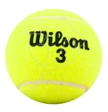 Piłki tenisowe Wilson  Championship (4 Pack)