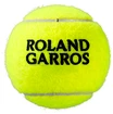 Piłki tenisowe Wilson  Roland Garros Clay (3 Pack)