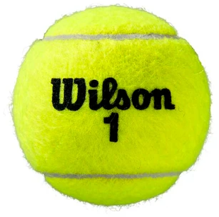 Piłki tenisowe Wilson  Roland Garros Clay (3 Pack)