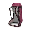 Plecak damski OSPREY SIRRUS 26 elderberry purple/chiru tan