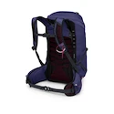 Plecak damski OSPREY Tempest 26 deep fig/hotspot pink