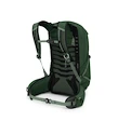 Plecak męski OSPREY TALON 22 green canopy/pine leaf