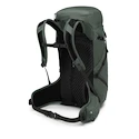 Plecak OSPREY Sportlite 30 pine leaf green