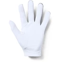 Rękawice męskie Under Armour  Medal Golf Glove grey