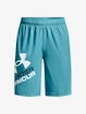 Spodenki chłopięce Under Armour  Prototype 2.0 Logo Shorts-BLU S