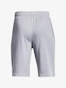 Spodenki chłopięce Under Armour  Prototype 2.0 Logo Shorts gray