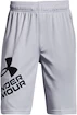 Spodenki chłopięce Under Armour  Prototype 2.0 Logo Shorts gray M