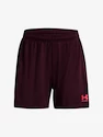 Spodenki damskie Under Armour  W's Ch. Knit Short-MRN