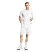 Spodenki męskie adidas  Club Graphic Short White/Grey