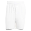 Spodenki męskie adidas  Club Short White