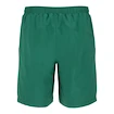 Spodenki męskie Fila  Shorts Santana Green Jacket