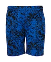 Spodenki męskie FZ Forza  Luton M Shorts Olympian Blue