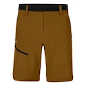 Spodenki męskie Salewa  Puez 3 DST M Shorts Golden Brown L