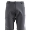 Spodenki męskie Salomon  Wayfarer Shorts Ebony