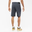 Spodenki męskie Salomon  Wayfarer Shorts Ebony