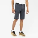 Spodenki męskie Salomon  Wayfarer Shorts Ebony