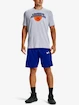 Spodenki męskie Under Armour  BASELINE 10'' SHORT-BLU