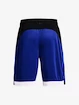 Spodenki męskie Under Armour  BASELINE 10'' SHORT-BLU