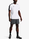 Spodenki męskie Under Armour  Challenger Knit Short-GRY