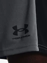 Spodenki męskie Under Armour  Challenger Knit Short-GRY