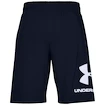 Spodenki męskie Under Armour  COTTON BIG LOGO SHORTS blue