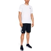 Spodenki męskie Under Armour  COTTON BIG LOGO SHORTS blue