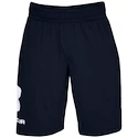 Spodenki męskie Under Armour  COTTON BIG LOGO SHORTS blue