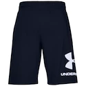 Spodenki męskie Under Armour  COTTON BIG LOGO SHORTS blue