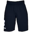 Spodenki męskie Under Armour  COTTON BIG LOGO SHORTS blue S