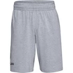 Spodenki męskie Under Armour  COTTON BIG LOGO SHORTS gray