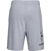 Spodenki męskie Under Armour  COTTON BIG LOGO SHORTS gray