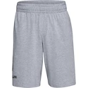 Spodenki męskie Under Armour  COTTON BIG LOGO SHORTS gray