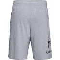 Spodenki męskie Under Armour  COTTON BIG LOGO SHORTS gray