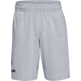 Spodenki męskie Under Armour COTTON BIG LOGO SHORTS gray