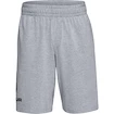 Spodenki męskie Under Armour  COTTON BIG LOGO SHORTS gray XXL