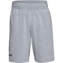 Spodenki męskie Under Armour  COTTON BIG LOGO SHORTS gray XXL