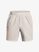 Spodenki męskie Under Armour  Launch SW 7'' WM Short-GRY