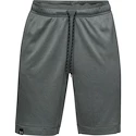 Spodenki męskie Under Armour  Lighter Longer Short S