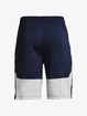 Spodenki męskie Under Armour  Raid 2.0 Shorts-NVY