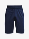 Spodenki męskie Under Armour  Raid 2.0 Shorts-NVY