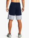 Spodenki męskie Under Armour  Raid 2.0 Shorts-NVY