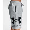 Spodenki męskie Under Armour  Rival FLC Big Logo Shorts gray