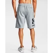 Spodenki męskie Under Armour  Rival FLC Big Logo Shorts gray