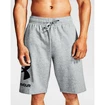 Spodenki męskie Under Armour  Rival FLC Big Logo Shorts gray