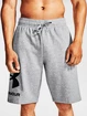 Spodenki męskie Under Armour  Rival FLC Big Logo Shorts gray