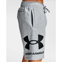 Spodenki męskie Under Armour  Rival FLC Big Logo Shorts gray