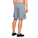 Spodenki męskie Under Armour  Tech Graphic Short Grey